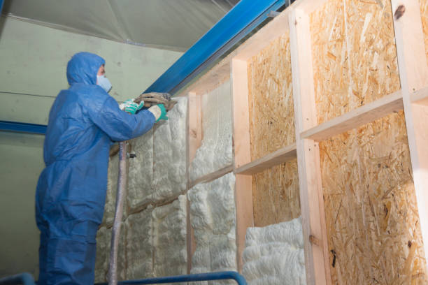 Best Attic Insulation Installation  in Judson, SC