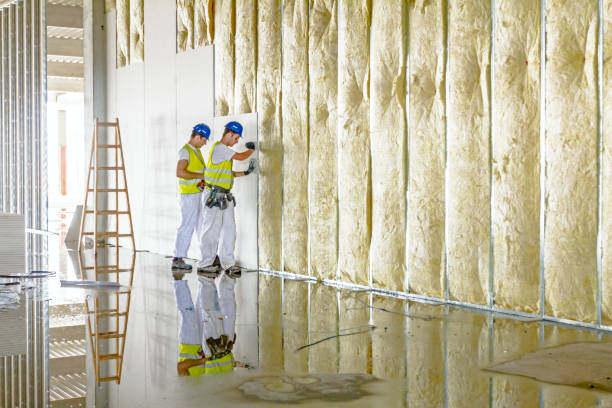 Best Soundproof Insulation Installation  in Judson, SC
